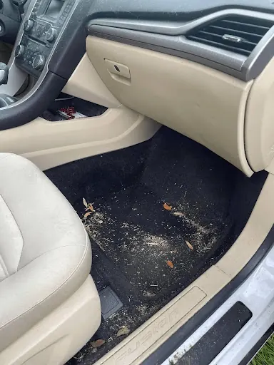 Before: dusty dashboard and dirty floor mat in a sedan